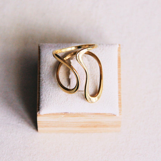 Ring retro
