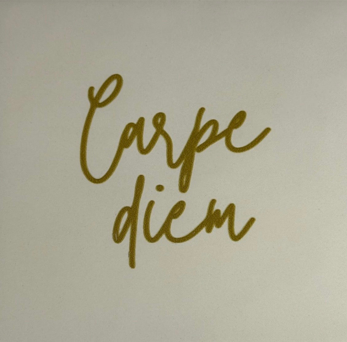Tegeltje ‘carpe diem’