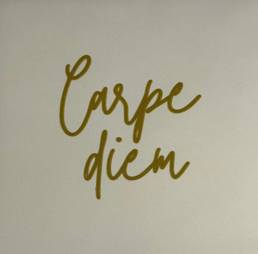 Tegeltje ‘carpe diem’