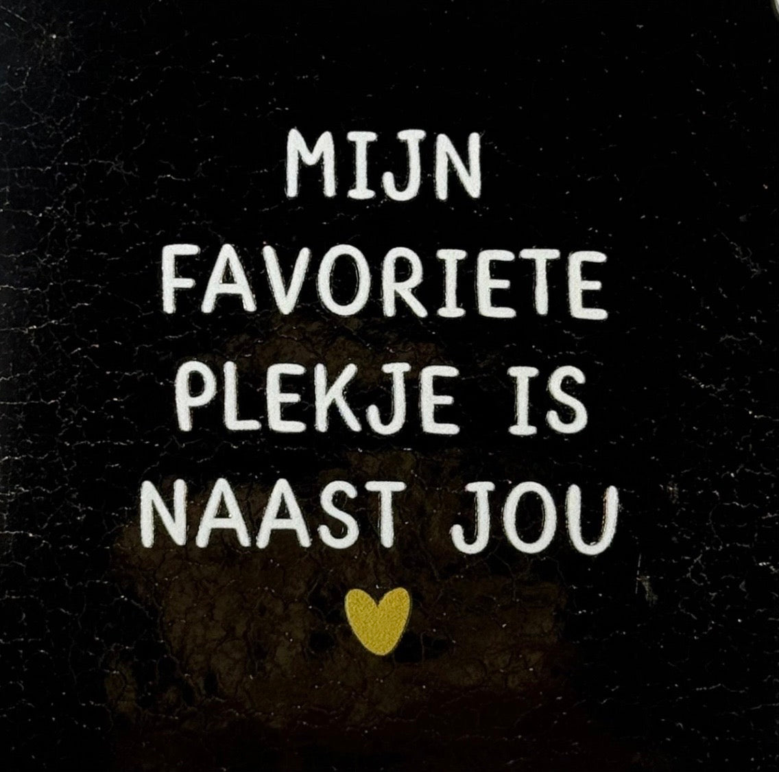 Tegeltje ‘mijn favoriete plekje is naast jou’